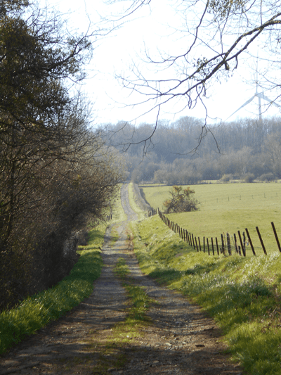 Quel chemin? (proposé par Amélie B, auteur inconnu)