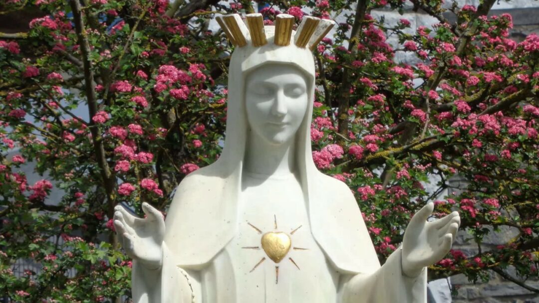 Homélie: Fête de l’Assomption