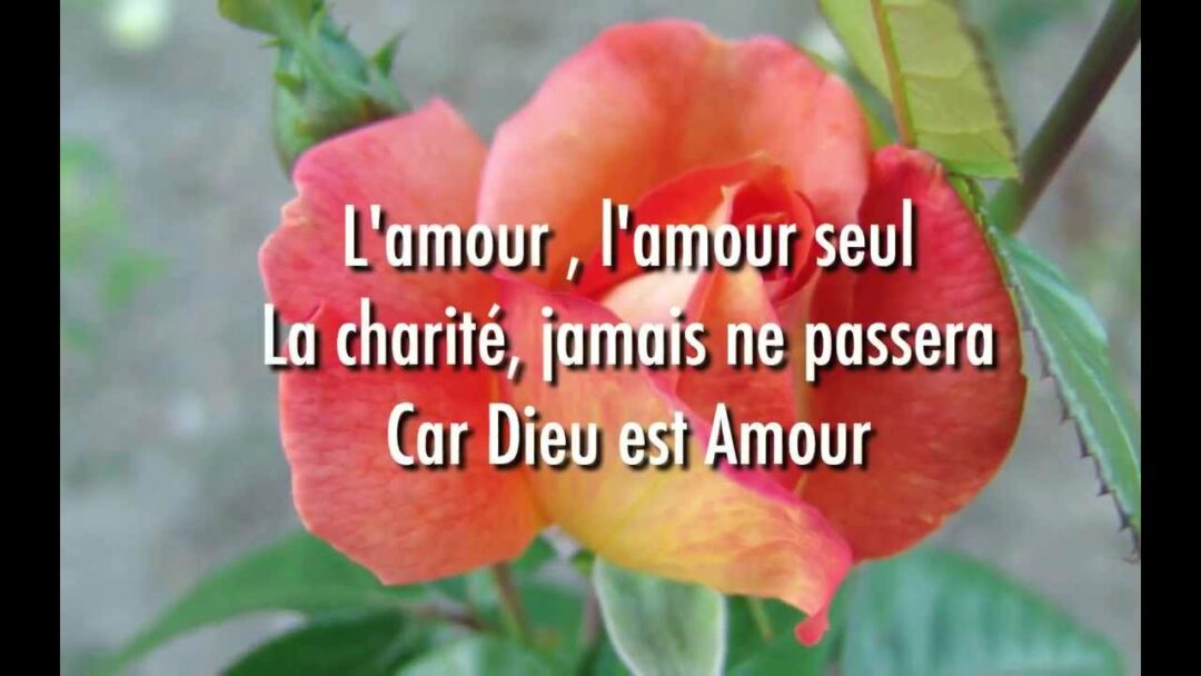 Homélie: 4e Dimanche ordinaire C
