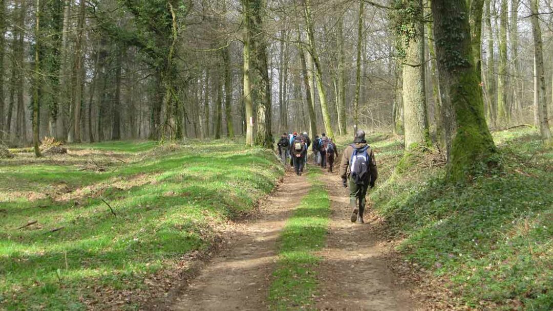 Marche des hommes avec saint Joseph (Orval)
